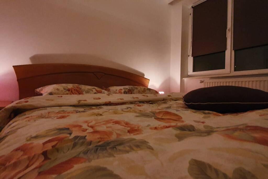 Titian'S Cozy Apartment Nagyszeben Kültér fotó